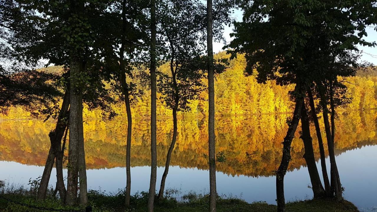 Zloty Potok Resort Dış mekan fotoğraf