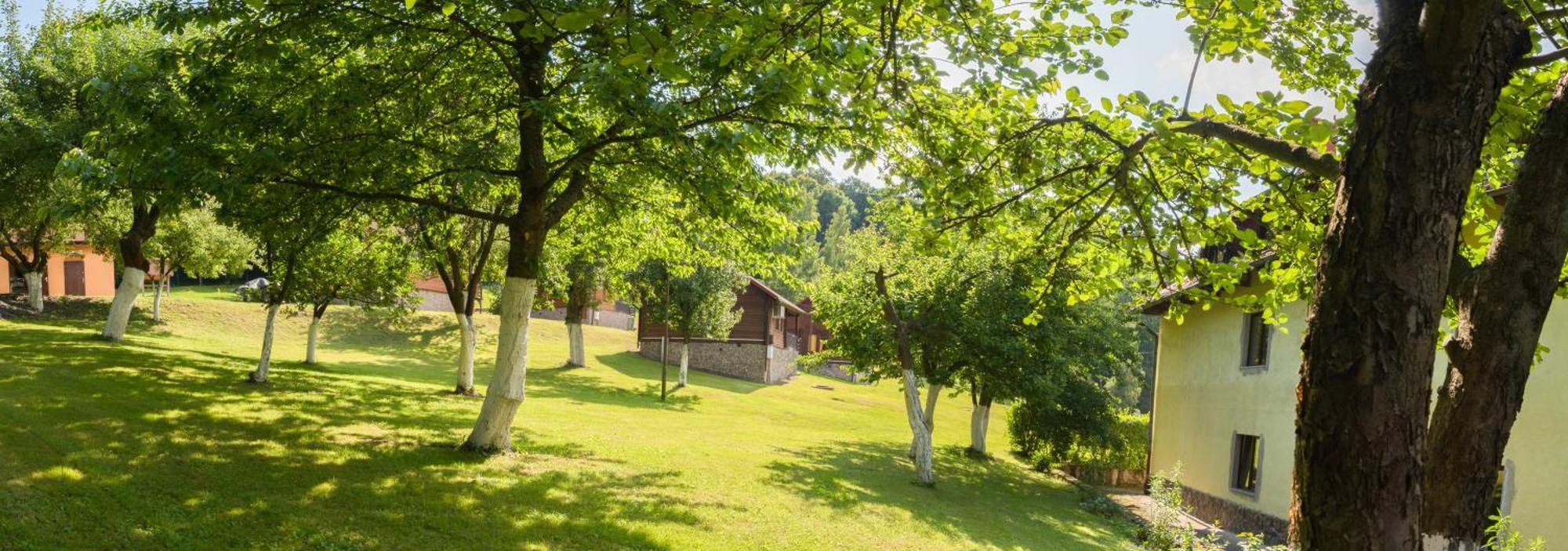 Zloty Potok Resort Dış mekan fotoğraf
