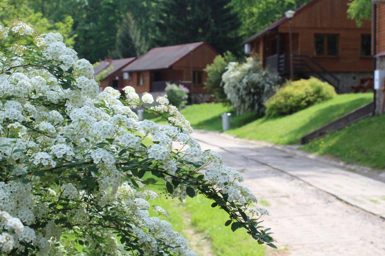 Zloty Potok Resort Dış mekan fotoğraf
